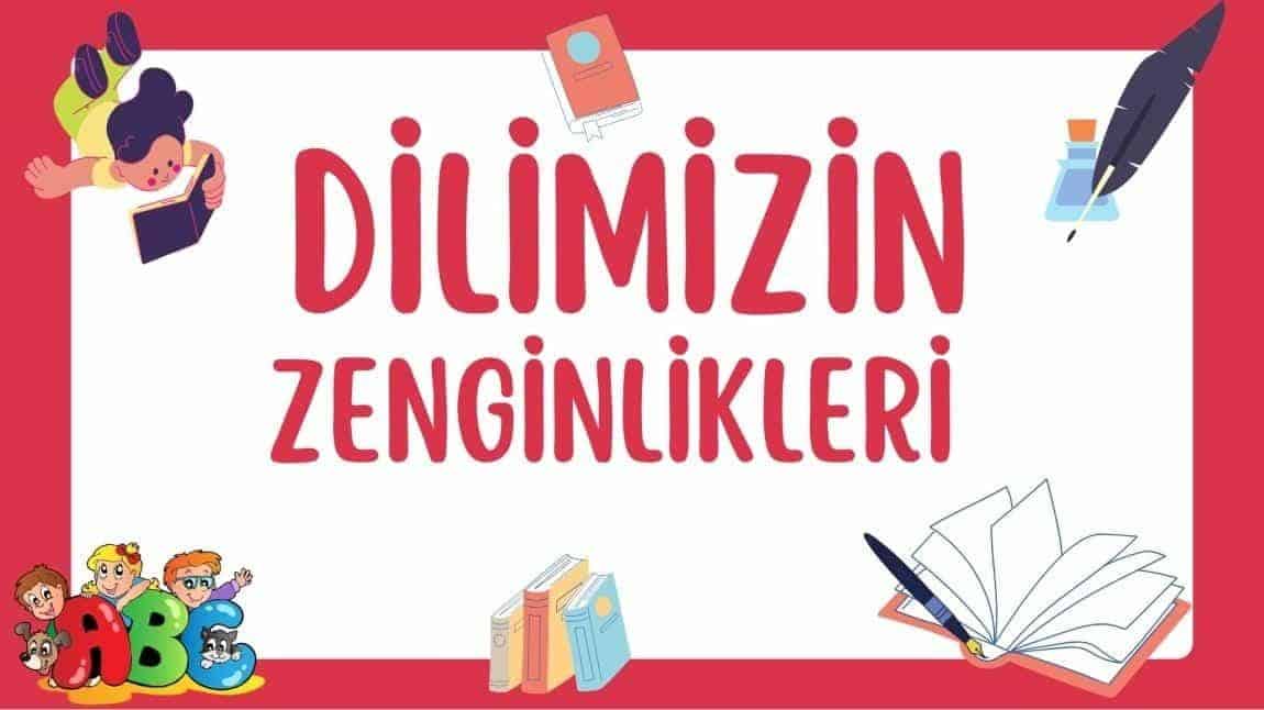 DİLİMİZİN ZENGİNLİKLERİ